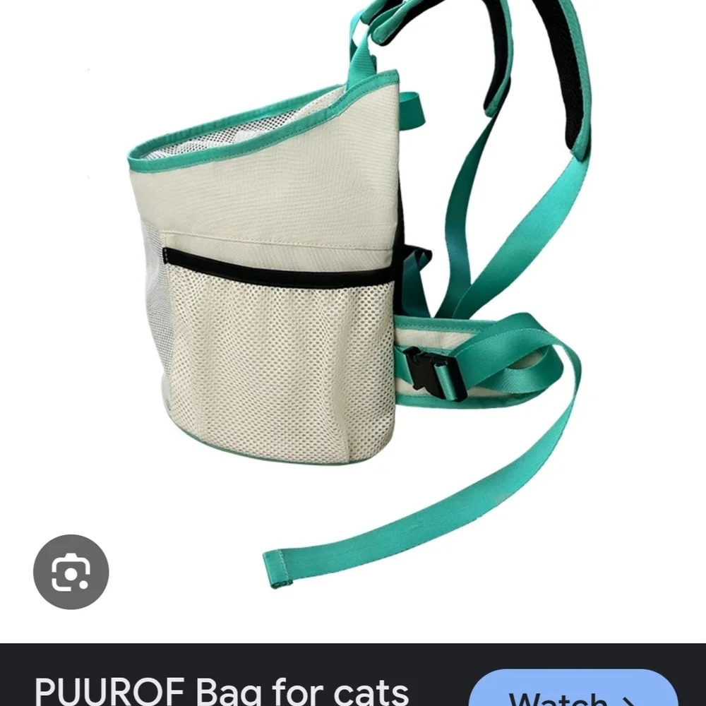 Mint Green Small Pet Carrier with Mesh